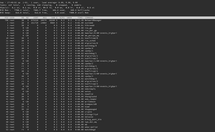 System monitoring display in top